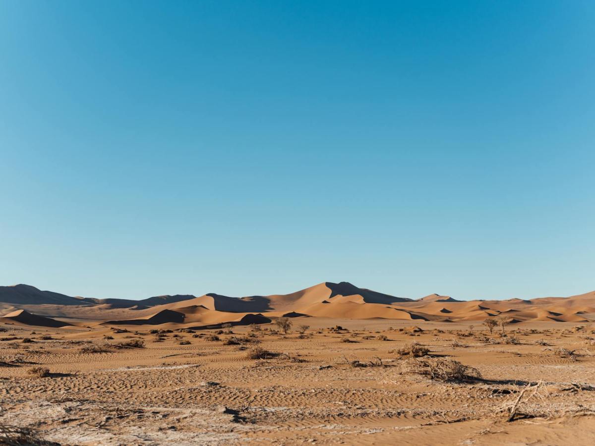 Dieu transforme dans le désert! Exode&nbsp;2,11-22